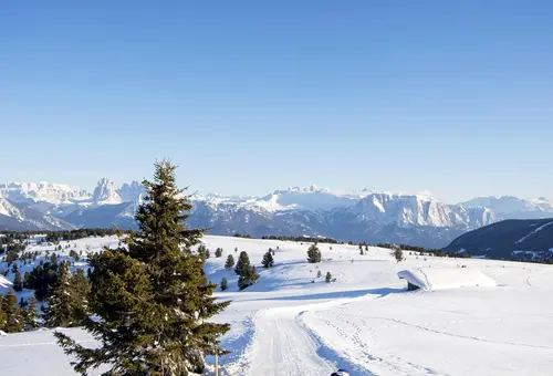 Winterlandschaft im Eisacktal